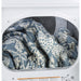 GE 7.2 cu. ft. Electric Dryer GTD45EASJWS IMAGE 6