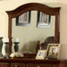 Furniture of America Palm Coast Dresser Mirror CM7888M IMAGE 1