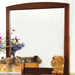 Furniture of America Kids Dresser Mirrors Mirror CM7905EXP-M IMAGE 1