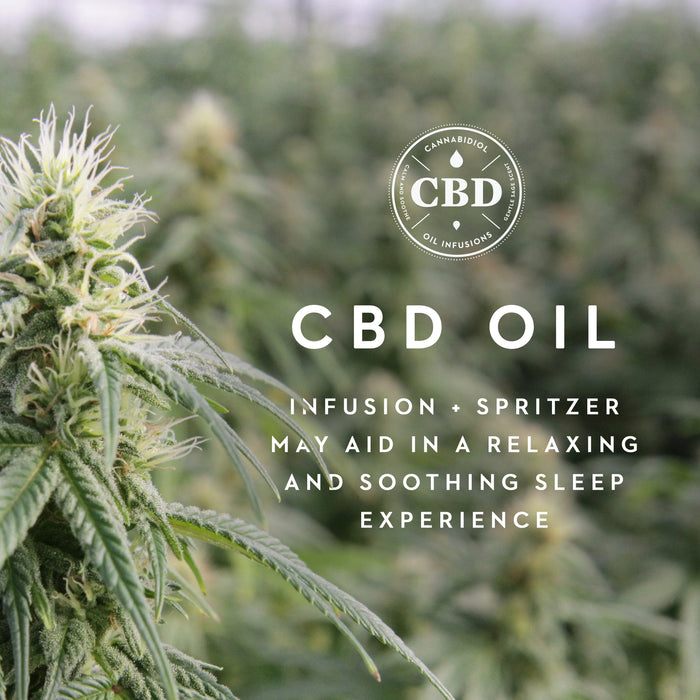Zoned Dough + CBD Oil Pillow