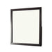 Furniture of America Berenice Dresser Mirror CM7580EX-M IMAGE 1