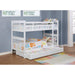 Coaster Furniture Kids Beds Bunk Bed 460244N IMAGE 5