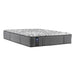 Sealy Determination II Plush Mattress (Full) IMAGE 1