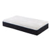 Homelegance Avior MT-MC11T 11" Twin Latex Microcoil Hybrid Mattress - Grey IMAGE 7