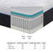 Homelegance Avior MT-MC14Q 14" Queen Latex Microcoil Hybrid Mattress - Grey IMAGE 3