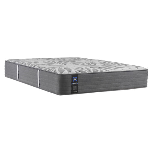 Sealy Testimony II Plush Tight Top Mattress (Twin) IMAGE 1