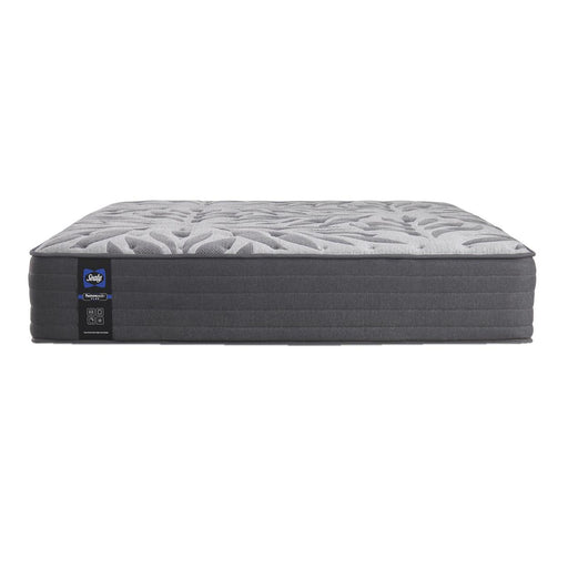 Sealy Testimony II Plush Tight Top Mattress (Queen) IMAGE 2