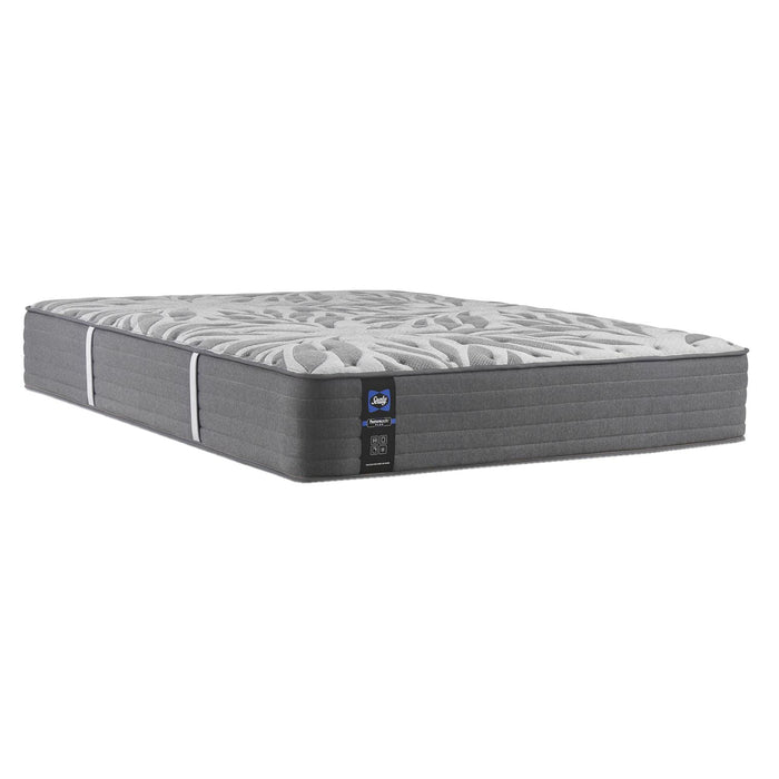 Sealy Testimony II Plush Tight Top Mattress (King) IMAGE 1