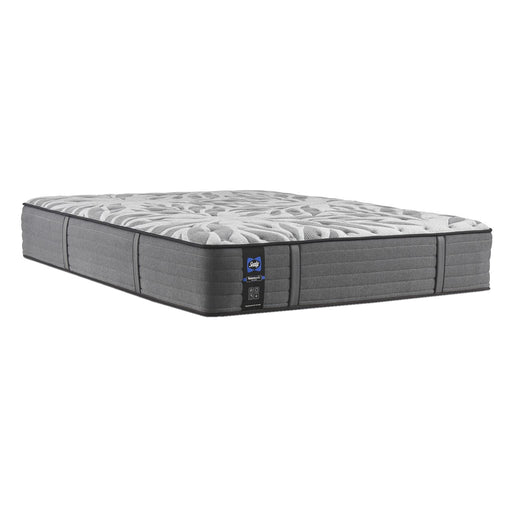 Sealy Determination II Ultra Firm Mattress (Twin) IMAGE 1