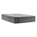 Sealy Determination II Plush Pillow Top Mattress (Twin) IMAGE 1