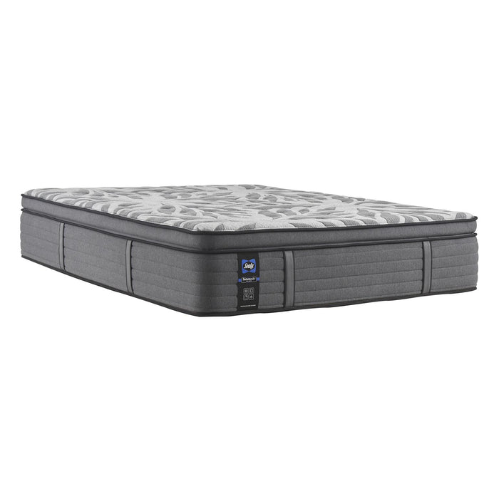 Sealy Determination II Plush Pillow Top Mattress (Queen) IMAGE 1