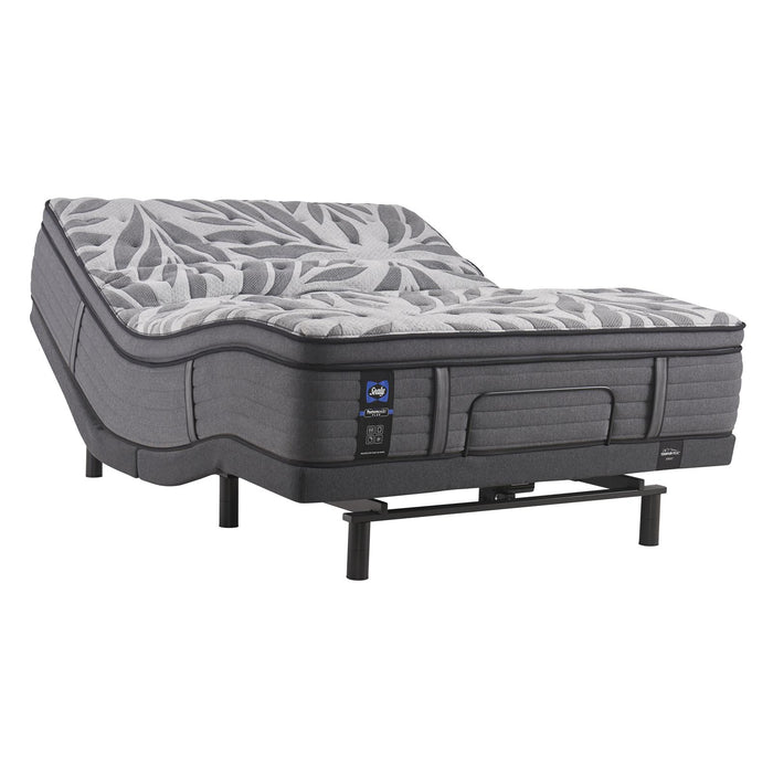 Sealy Determination II Plush Pillow Top Mattress (Queen) IMAGE 9