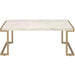 Acme Furniture Boice II Coffee Table 82870 IMAGE 1