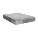 Sealy Paterson Medium Firm Mattress (Twin) IMAGE 1