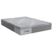 Sealy Paterson Medium Firm Hybrid Mattress (Twin) IMAGE 1