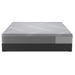 Sealy Paterson Medium Firm Hybrid Mattress (Twin) IMAGE 8