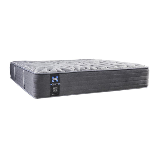 Sealy Opportune II Plush Tight Top Mattress (Queen) IMAGE 1