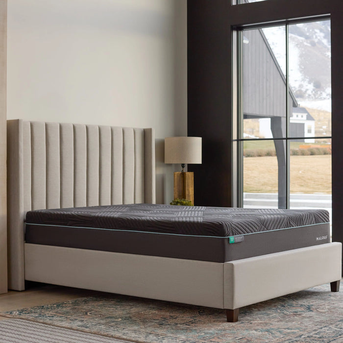 Ice Cloud 14" AeroFlex Hybrid Mattress