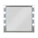 Acme Furniture Sliverfluff Dresser Mirror BD00245 IMAGE 1