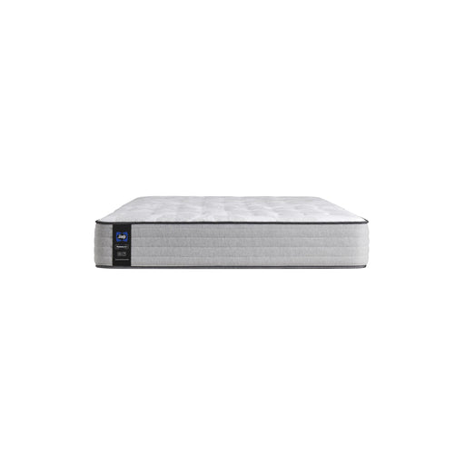 Sealy Diggens Firm Mattress (Queen) IMAGE 1