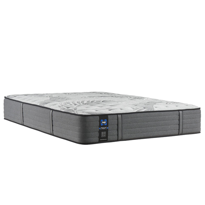 Sealy Determination II Medium Tight Top Mattress (Queen) IMAGE 1