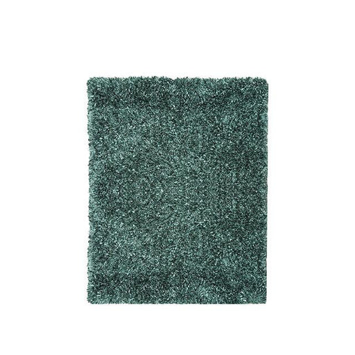 Furniture of America Annmarie RG4107 5' X 7' Teal Area Rug IMAGE 1