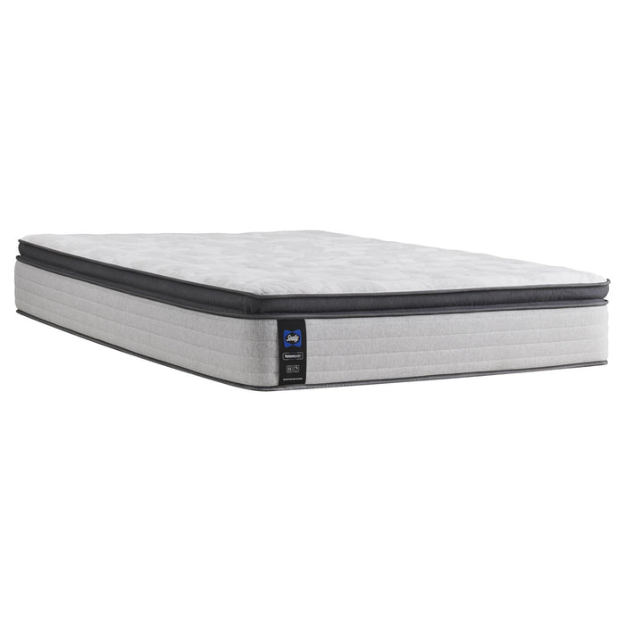 Sealy Diggens Firm Euro Top Mattress (Twin) IMAGE 1