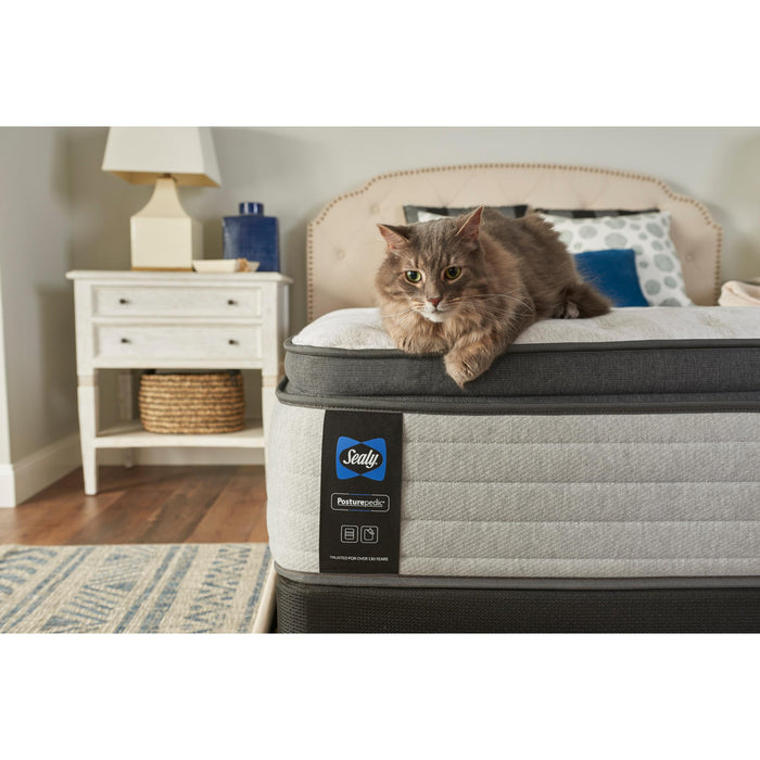 Sealy Diggens Firm Euro Top Mattress (Queen) IMAGE 19