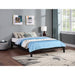 Coaster Furniture Hounslow King Platform Bed 306129KE IMAGE 2