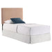 Coaster Furniture Bed Components Headboard 316030T IMAGE 4