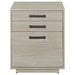 Coaster Furniture Filing Cabinets Vertical 805882 IMAGE 5