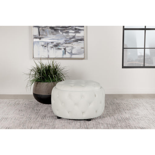 Coaster Furniture Ottomans Storage Ottomans 915407 IMAGE 2