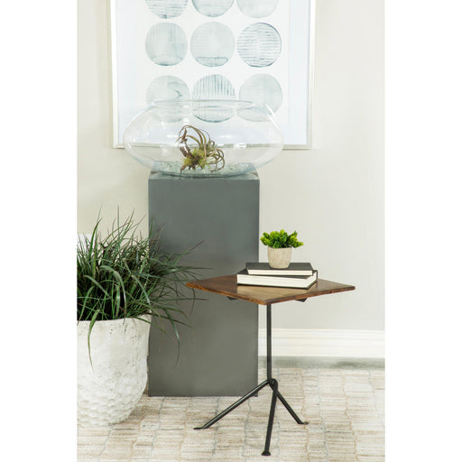 Coaster Furniture Occasional Tables Accent Tables 931206 IMAGE 2