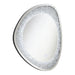 Coaster Furniture Mirrors Wall Mirrors 961504 IMAGE 1