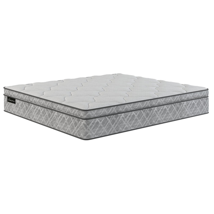 Sherwood Bedding Group Starbright Pillow Top Mattress (Queen) IMAGE 1