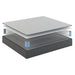 Sherwood Bedding Group Starbright Promo Mattress (Twin) IMAGE 2