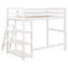 Coaster Furniture Kids Beds Loft Bed 460089 IMAGE 4