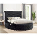 Furniture of America Delilah Queen Upholstered Platform Bed with Storage CM7177BK-Q-BED IMAGE 5