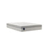 Sealy Winter Green Soft Euro Top Mattress (Twin Xl) IMAGE 1