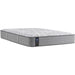 Sealy Silver Pine Medium Tight Top Mattress (Twin XL) IMAGE 1