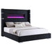 Coaster Furniture Beds King 306031KE IMAGE 1