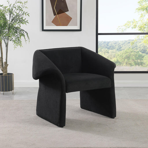 Coaster Furniture Accent Chairs Stationary 907524 IMAGE 2