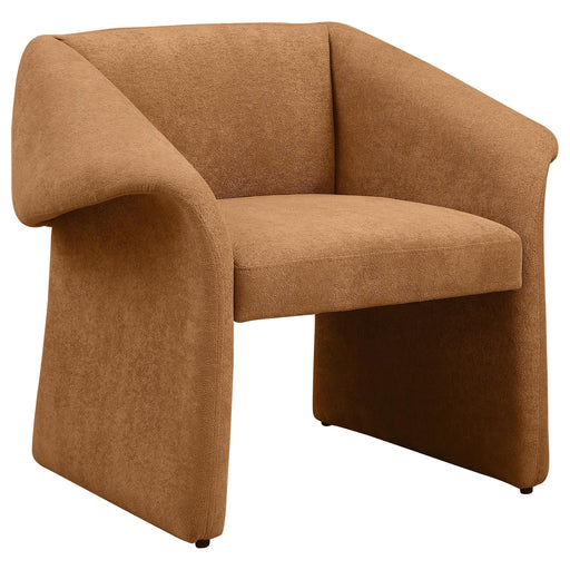 Coaster Furniture Accent Chairs Stationary 907523 IMAGE 1