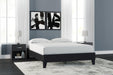 Finch Bed - BWO Furniture & Mattresses