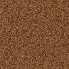 Carianna Loveseat - BWO Furniture & Mattresses