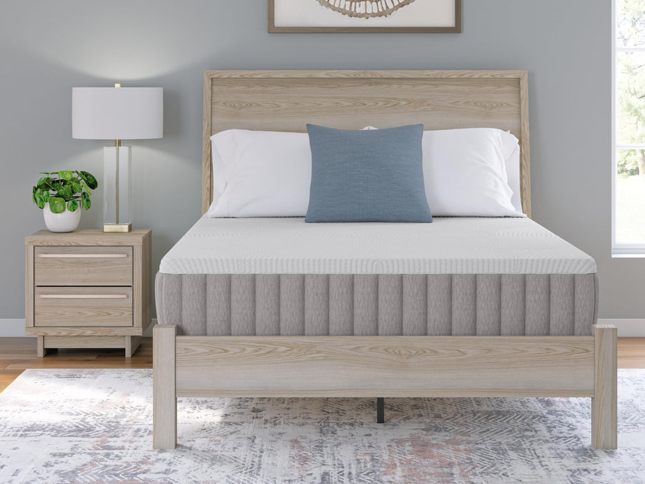 Terra Sleep Firm Mattress - BWO Furniture & Mattresses